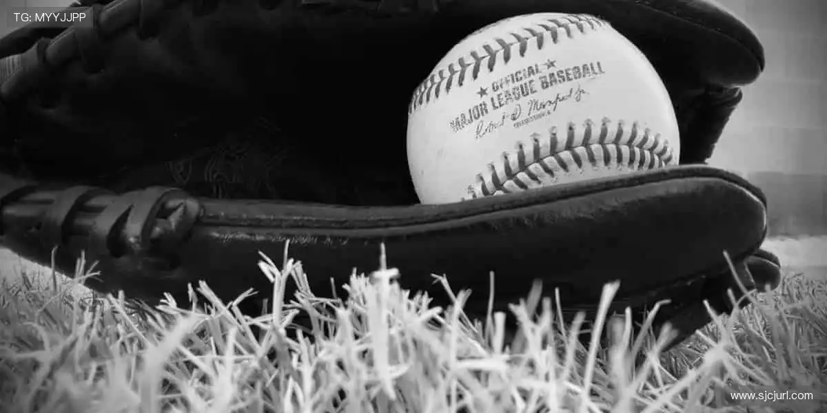 实时解说,身临其境!🎧📸